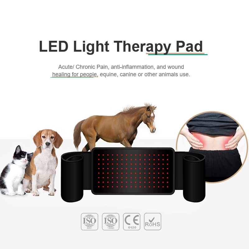 LED-W | Portable LED Infrared Light Therapy Wearable Belt