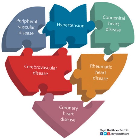 What is cardio-cerebral vascular disease